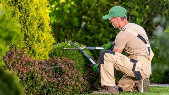 Preparar tu jardín para cada estación