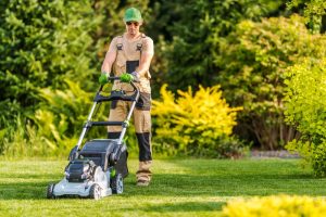 Mantenimiento de jardines en verano