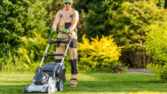Mantenimiento de jardines en verano