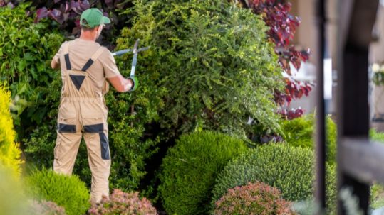 Jardineria para comunidades en Madrid